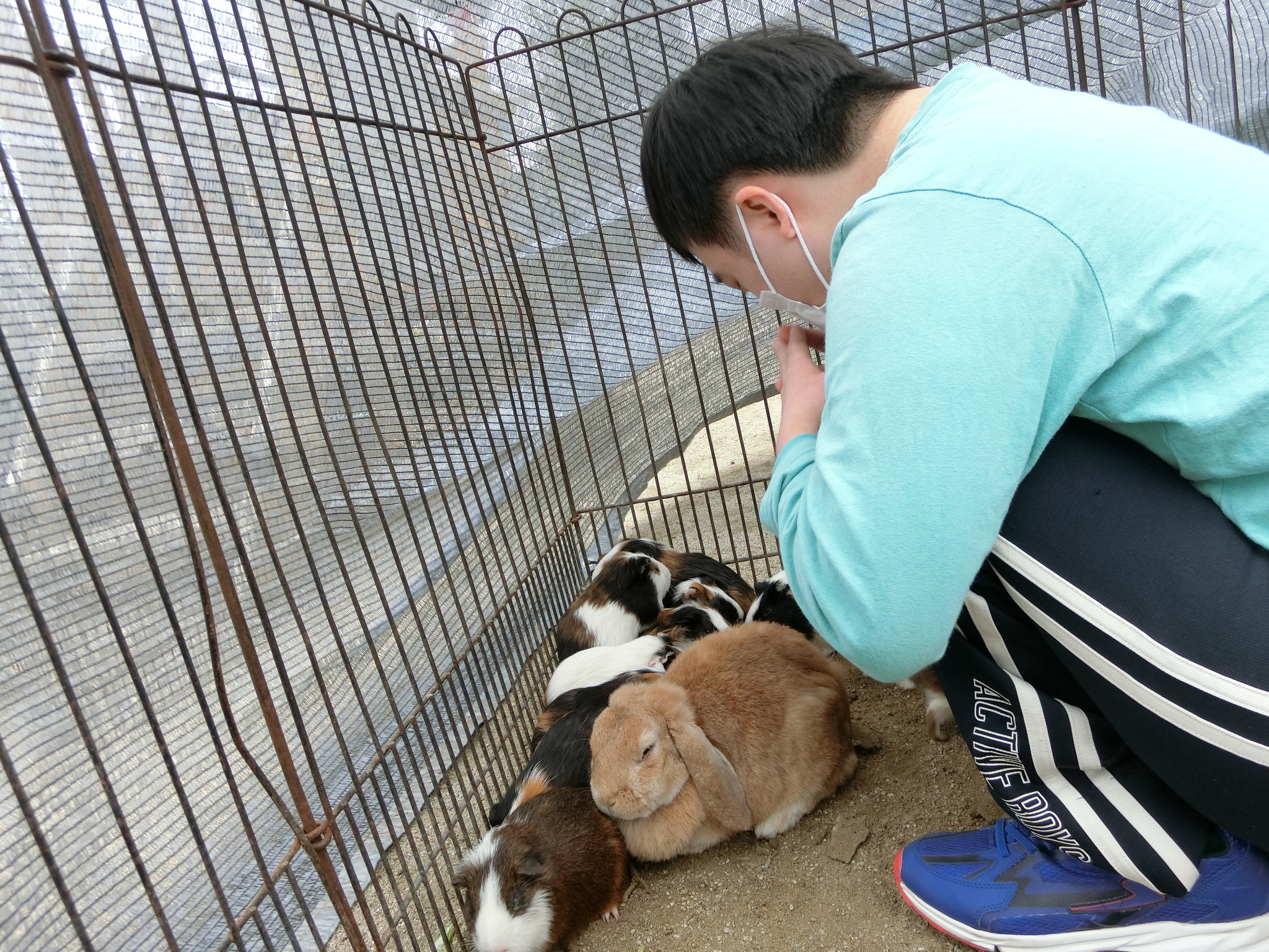 移動動物園